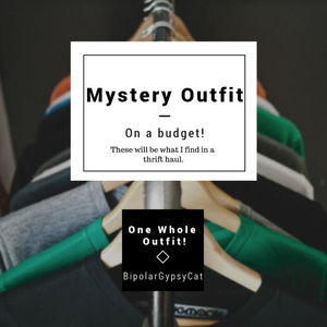 One Mystery Box Outfit Budget Friendly